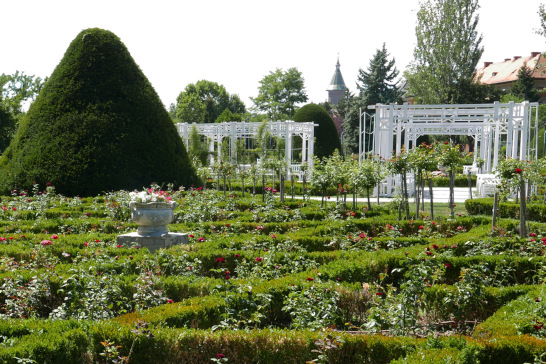 Bega / Rosengarten